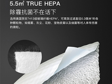 租賃空氣凈化器請(qǐng)務(wù)必了解什么是HEPA